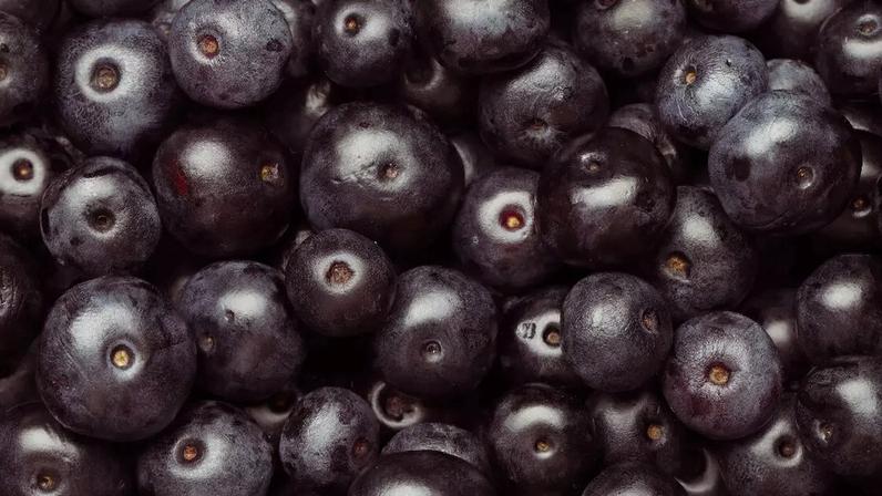 Fruto do açaí