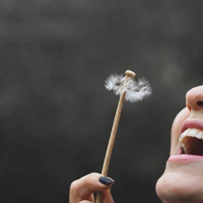 Provérbio chinês revela que pressa e consumo não trazem paz