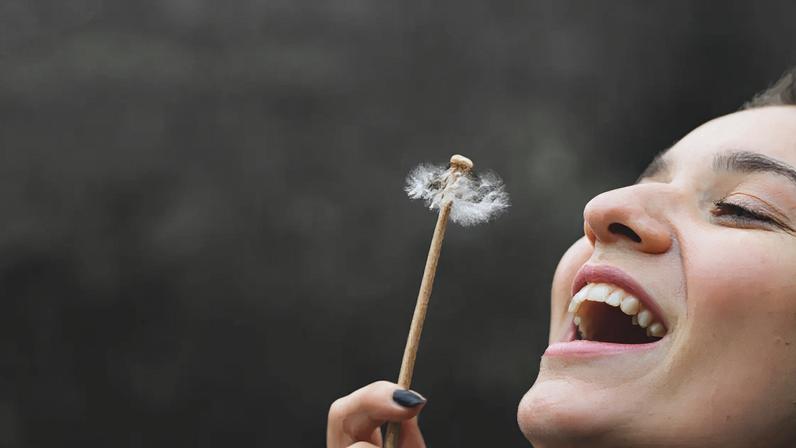 Provérbio chinês revela que pressa e consumo não trazem paz