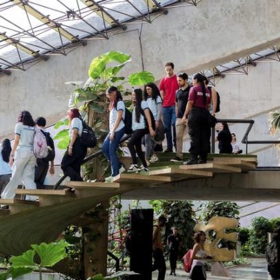 Mostra Constelações Contemporâneas: veja a programação neste fim de semana