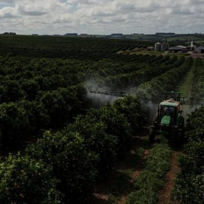 Gulf Oil Brasil mantém agenda de eventos no agro