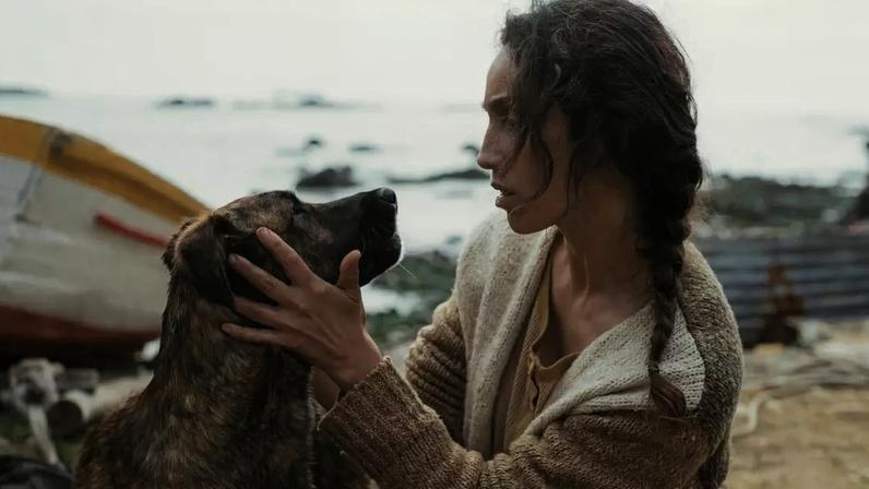 Cadela de filme estrelado por Selton Mello vence a Palm Dog no Festival de Cannes (Divulgação)