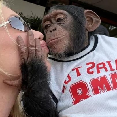 Léo Dias critica Virgínia após vídeo com macaco; comentarista chora ao falar de racismo
