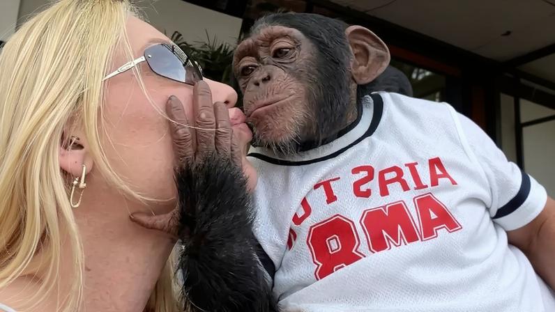 ‘Onde você estava com a cabeça?’: Léo Dias detona Virgínia ao vivo após vídeo com macaco, e comentarista chora ao falar de racismo.