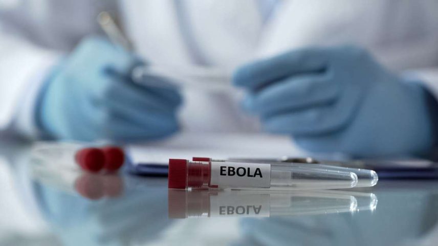A OMS classificou o surto de Ebola como uma emergência de saúde pública internacional, que é o seu segundo maior nível de alerta