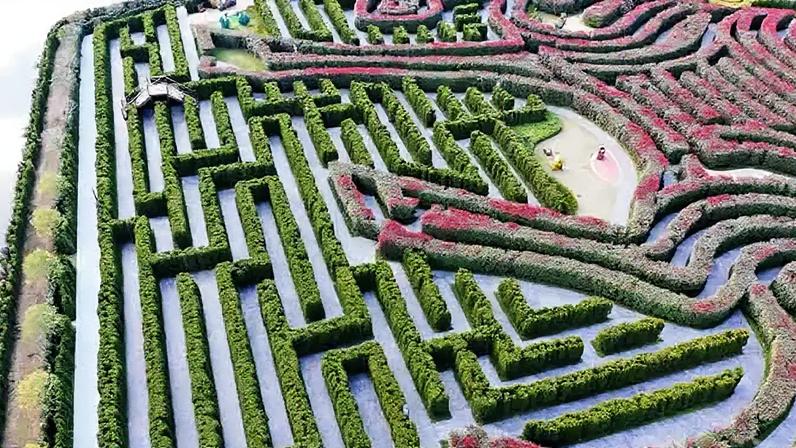 Dream Maze: os desafios do maior jardim-labirinto do mundo