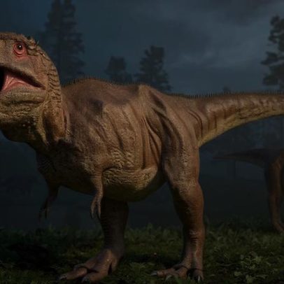Estudo explica por que o T. rex tinha bracinhos pequenos