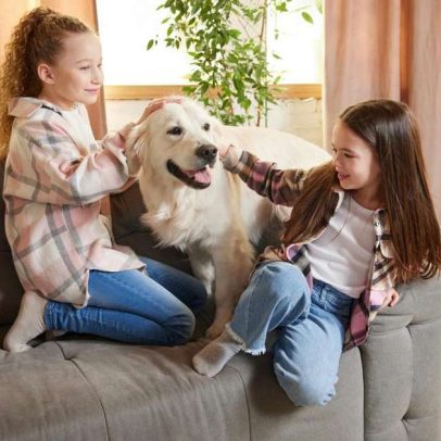 Filho pedindo um pet? Saiba quando é hora certa de adotar