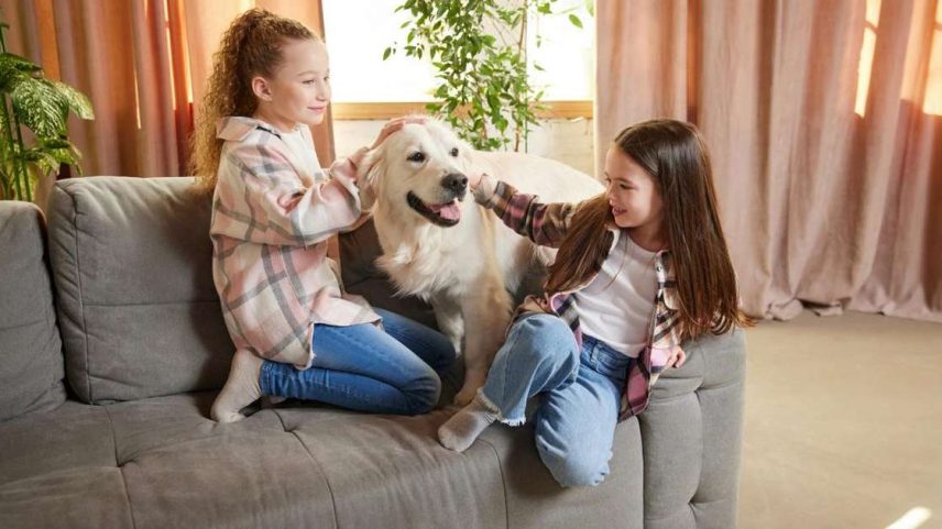 Filho pedindo um pet? Saiba quando é hora certa de adotar