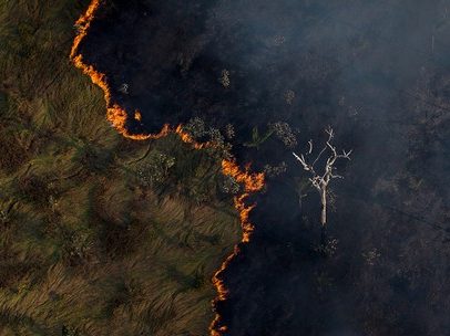 Perdas florestais chegam a US$ 81 bi/ano e afetam energia, agro e infraestrutura