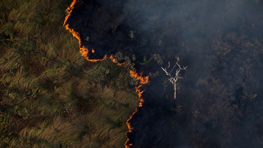 Perdas florestais chegam a US$ 81 bi por ano e afetam os mercados de energia, agro e de infraestrutura