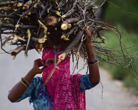 Across Asia, firewood is being collected to use for cooking as gas has become prohibitively expensive.