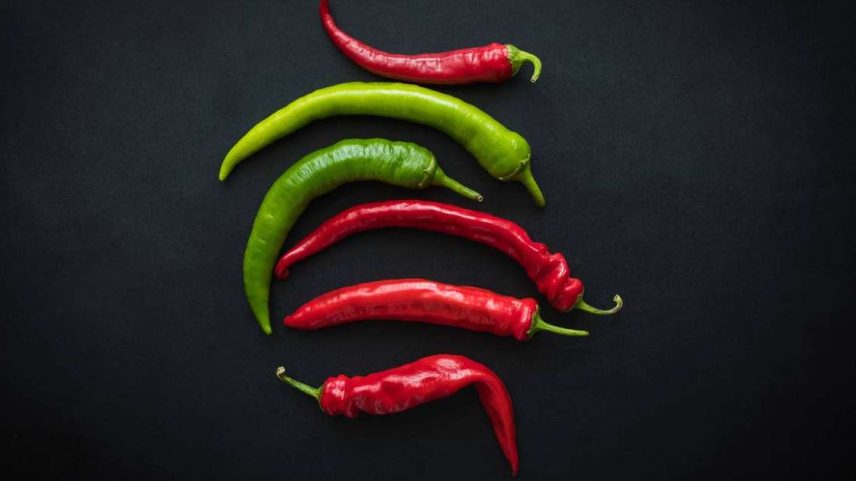 Pimenta – depositphotos.com / AntonMatyukha