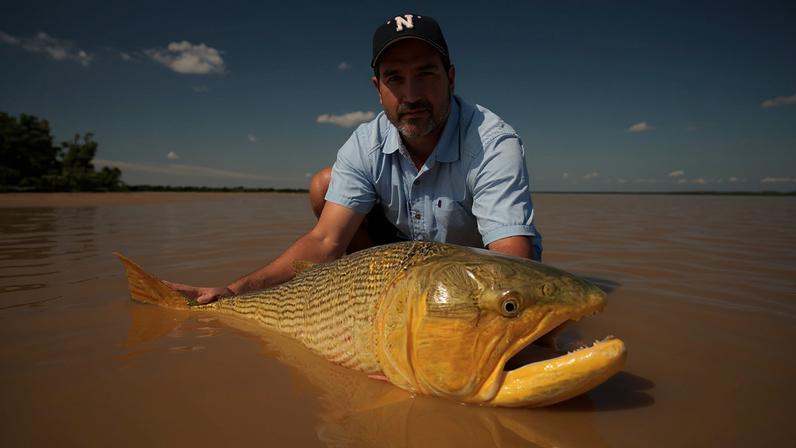 Peixes de água doce migratórios enfrentam riscos; agiremos a tempo?