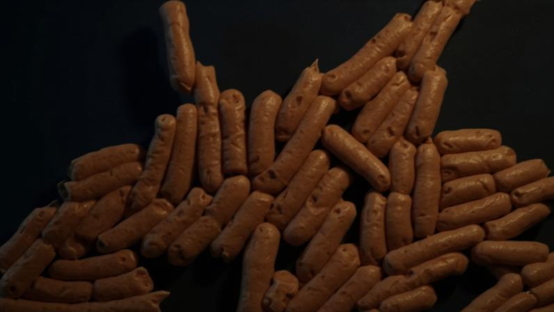 Rising temperatures and altered rain patters amplify the antimicrobial resistance genes in pathogens such as salmonella, the researchers said in a study.