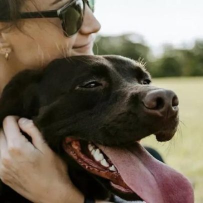 Ciência aponta solução para ansiedade de separação de cães quando dono sai de casa