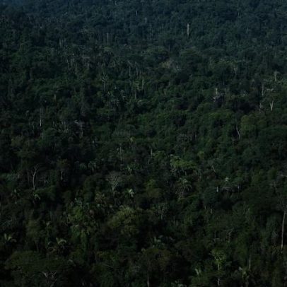 Brasil pode aproveitar janela histórica no mercado global de carbono