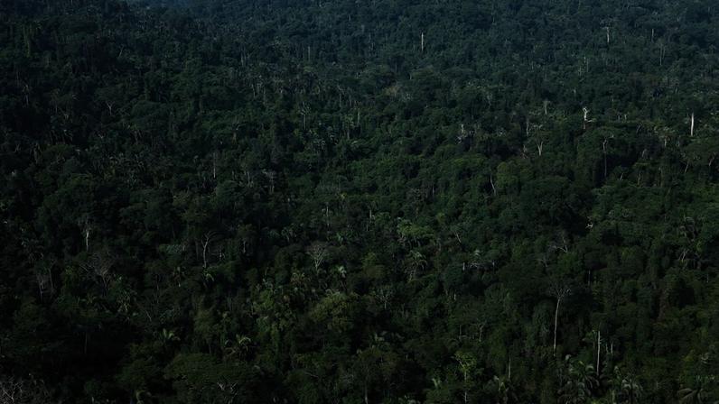 País sediou mais importante evento da história climática recente, projetou liderança ao mundo e agora precisa honrar essa imagem com uma decisão regulatória que está ao alcance do governo
