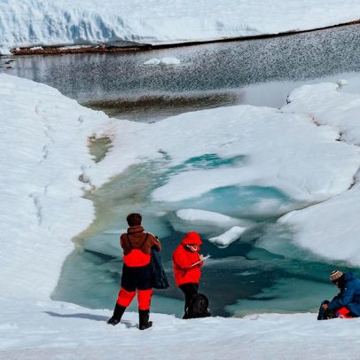 Bactérias da Antártica podem contribuir para reversão do envelhecimento