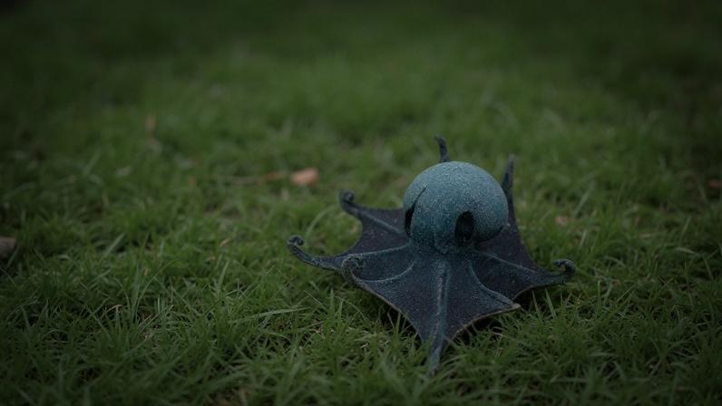 Um pequeno polvo roxo-azulado com olhos grandes e escuros, rastejando sobre um fundo marinho arenoso de cor verde-oliva