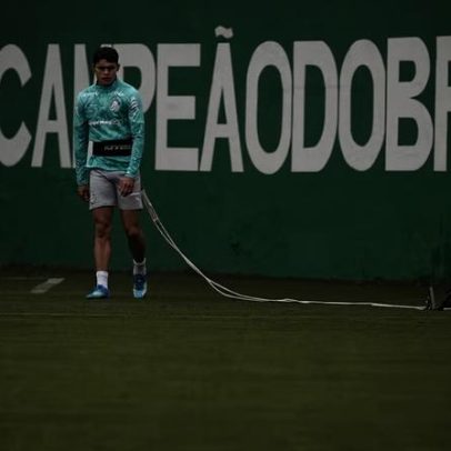Sosa inicia transição no Palmeiras; Paulinho não vai a campo na reapresentação