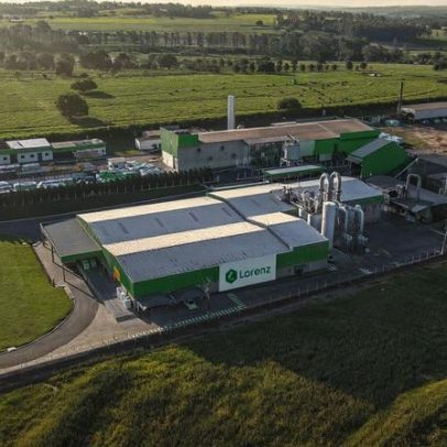 Maior esmagadora de mandioca do Brasil amplia produção com novos amidos