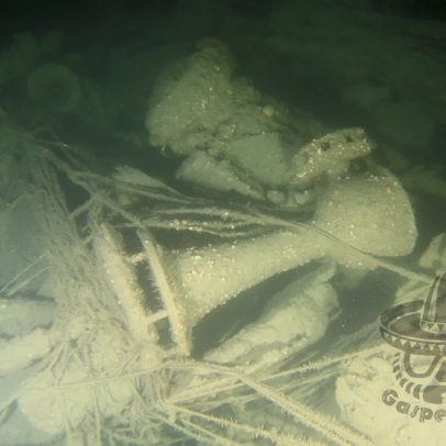 Naufrágio da Primeira Guerra Mundial, que afundou com 131 pessoas, é encontrado