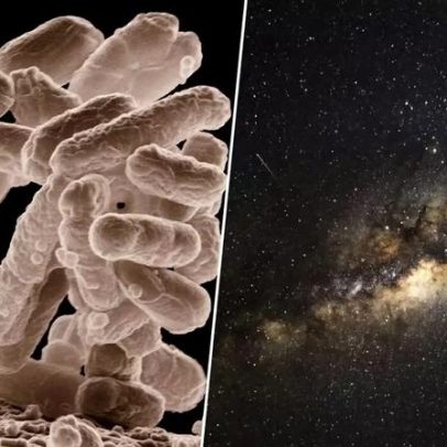 Busca por vida no espaço: cientistas alertam para falsos negativos