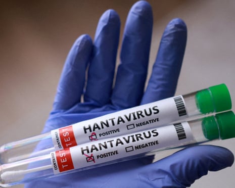 Hantavírus não se espalha facilmente; aquecimento global aumenta exposição