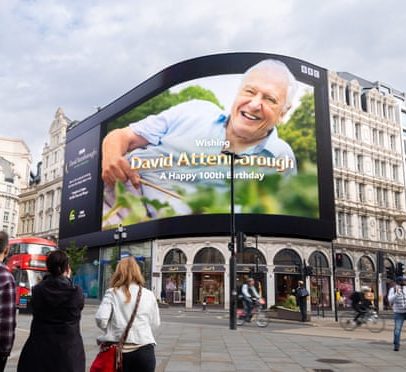 David Attenborough, ícone nacional, é visto como figura radical na TV