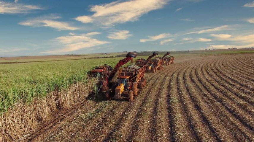 campo de plantação com máquinas para colheita