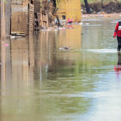 País teve quase 12 reconhecimentos de emergência por dia em dez anos