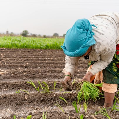 Guerra no Irã pode afetar o abastecimento de alimentos na África