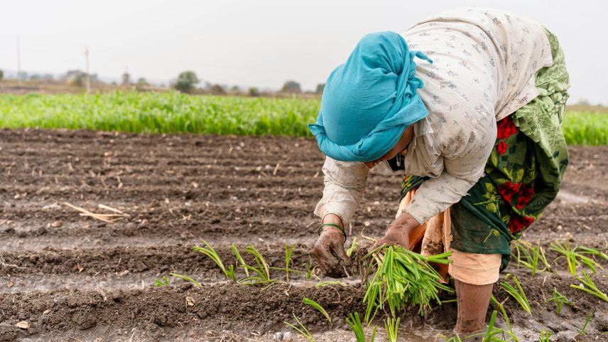 Entenda como a guerra no Irã pode causar escassez de alimentos na África