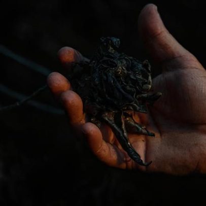 El Niño amplia riscos para arroz e café na cesta básica da América Latina