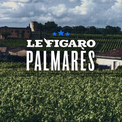 Bordeaux revela palmarés dos 100 maiores vinhos tintos do 2025 em primeur
