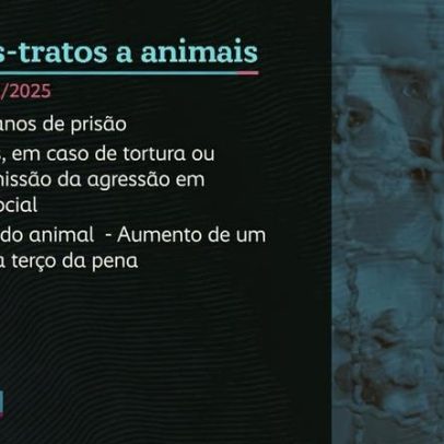 Tipificação de crime de negligência contra animais avança para CCJ