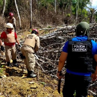 Câmara aprova projeto que proíbe embargos em fiscalizações ambientais