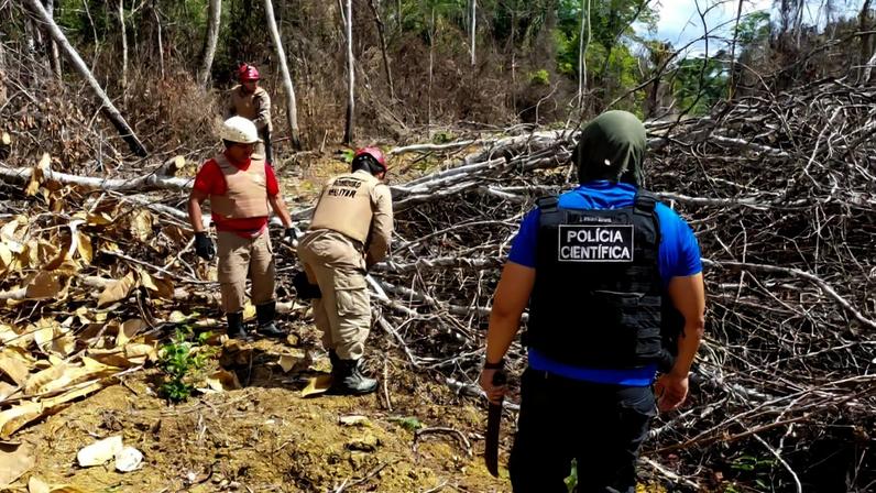 1 de 1 3 COP30 com redução de 55% no desmatamento, Pará leva resultado inédito - Foto: Divulgação