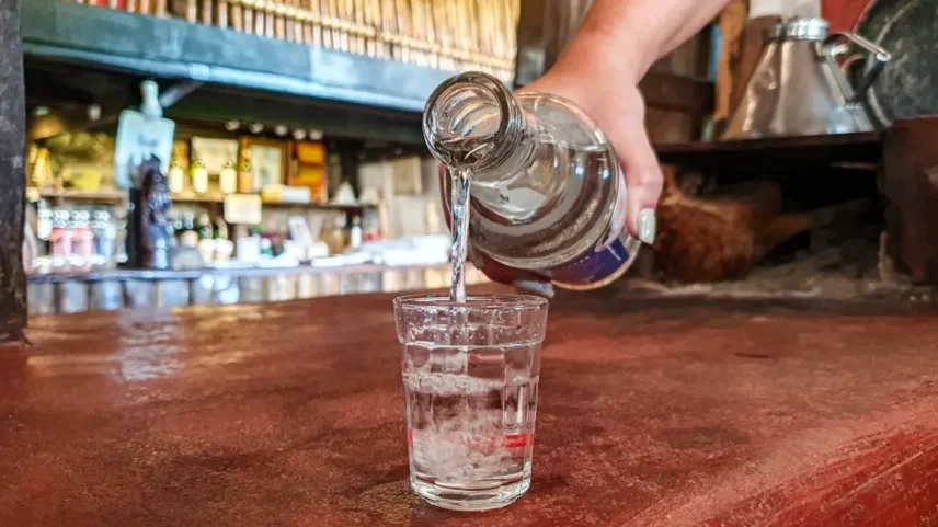 A exploração de lítio trouxe holofotes recentemente, mas são a fruticultura irrigada e a cachaça artesanal que consolidam o potencial econômico da região há décadas.