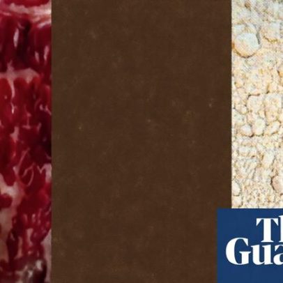 Proteínas populares: prós e contras e a importância da variedade