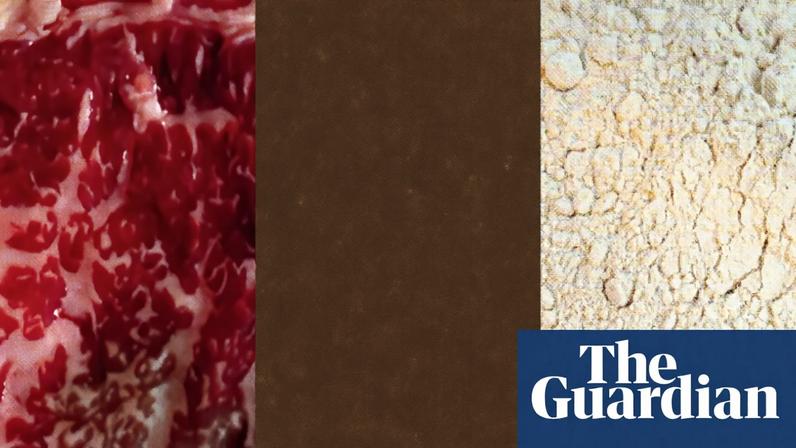 ‘There’s a time and place for all proteins,’ says Debbie Fetter, an associate professor in nutrition.