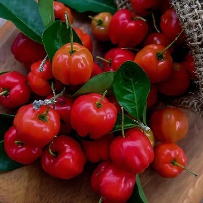 A acerola oferece benefícios nutricionais e versatilidade