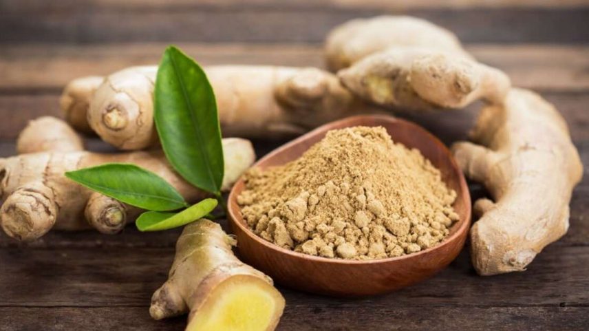 O gengibre, além de ser um ingrediente saboroso, traz muitos benefícios à saúde