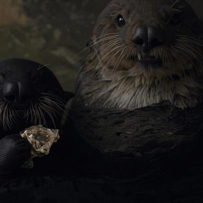 Lontra adota filhote órfão em aquário da Califórnia
