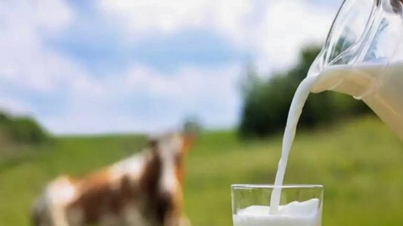 Leite para adultos: o que dizem as evidências?