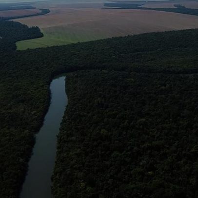 Câmara aprova lei que proíbe embargo ambiental baseado em imagens de satélite