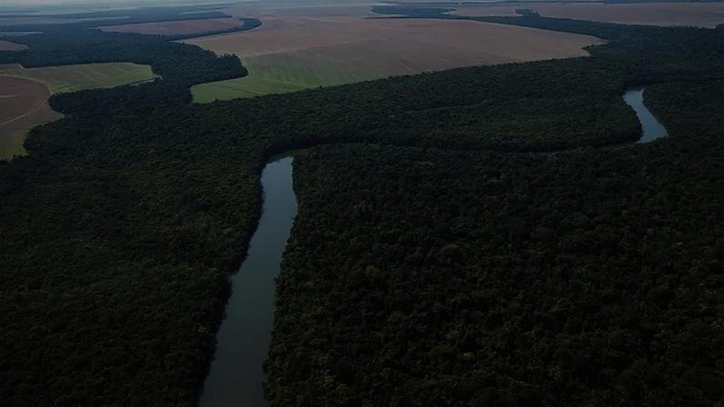 Trecho da Floresta Amazônica na região de Sinop, no Mato Grosso