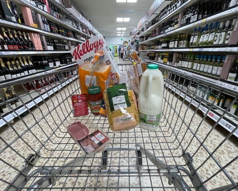 A view of a shopping trolley containing a few essential items in a supermarket