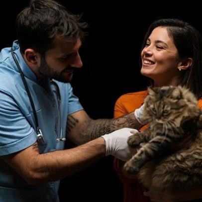 Impactos da castração no comportamento de cães e gatos